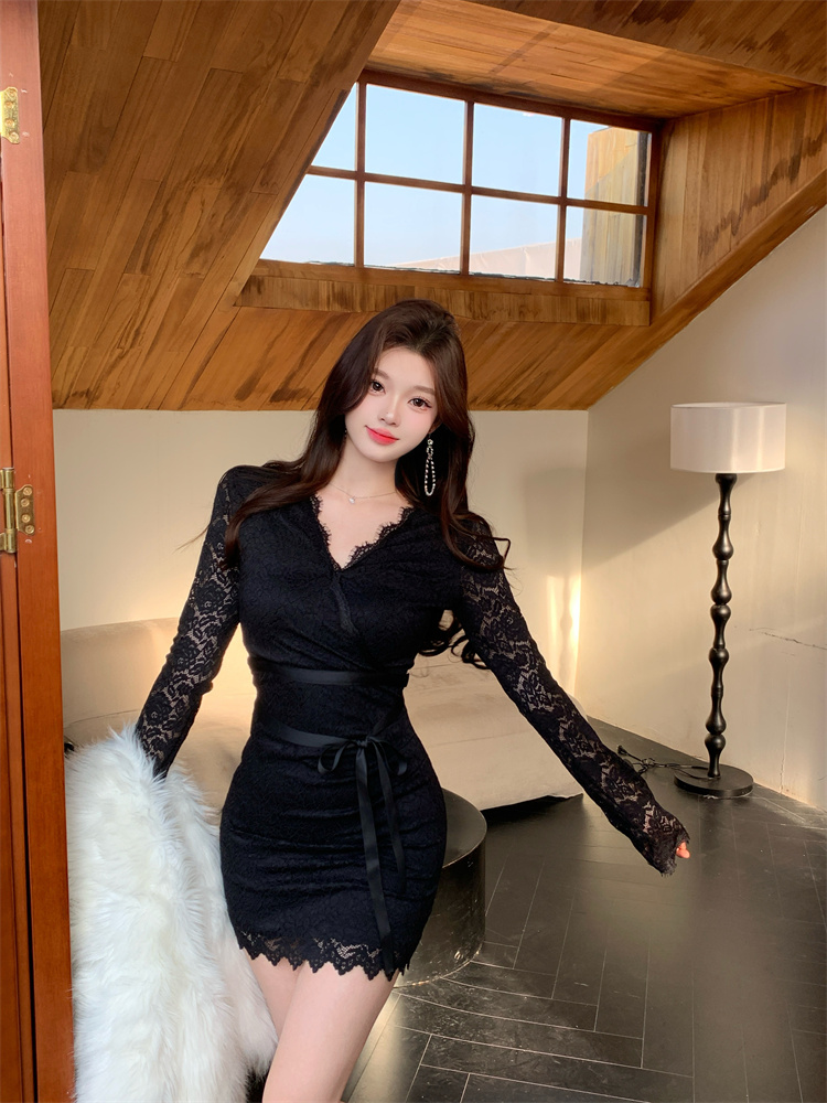 Elegant Lace Slim Fit Sexy Dress - Style 290fa3
