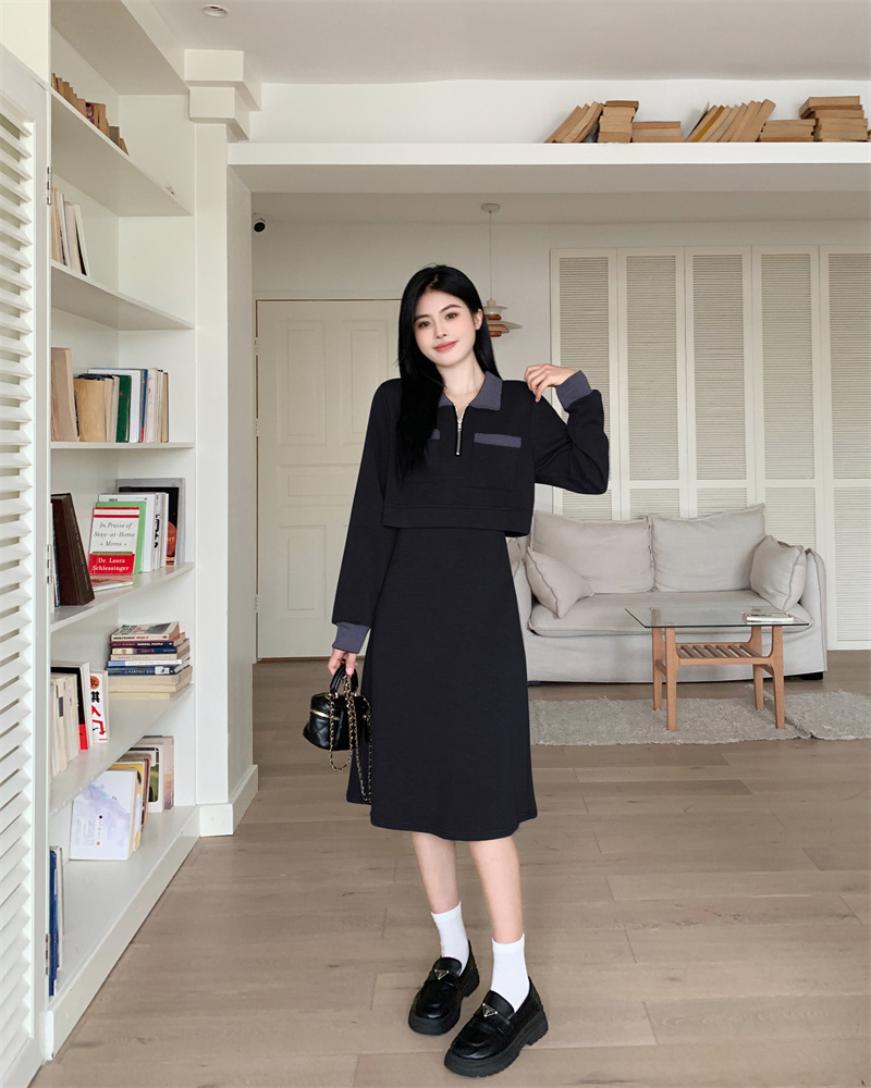 Plus Size Color Block Collar Pocket Long Sleeve Dress